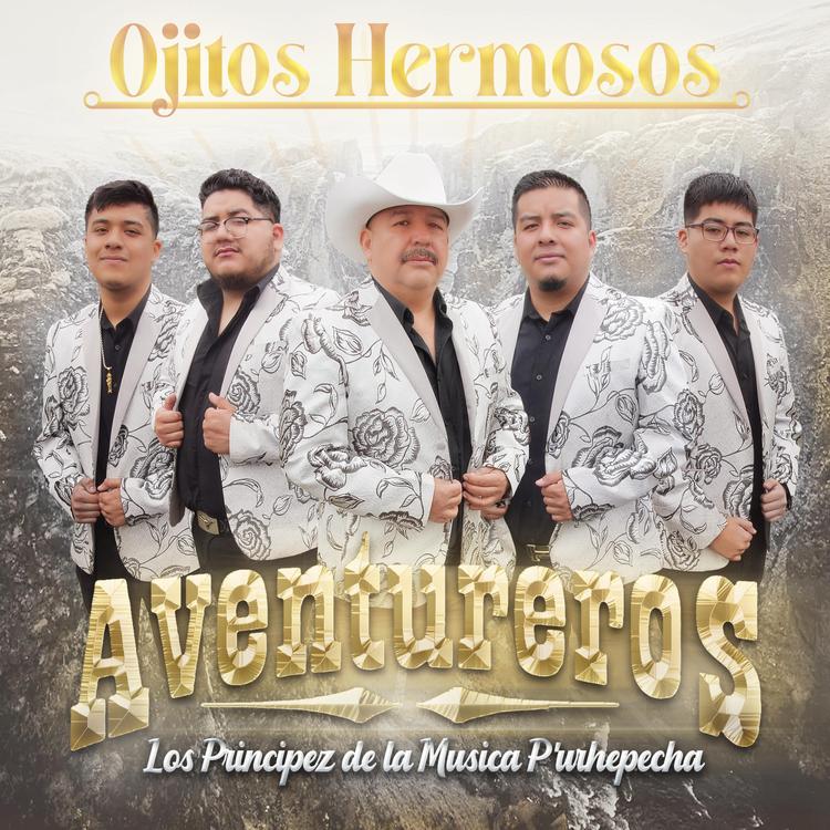 Aventureros Los Principez de la Musica P'urhépecha's avatar image