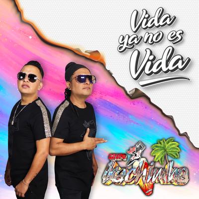 Vida Ya No Es Vida's cover