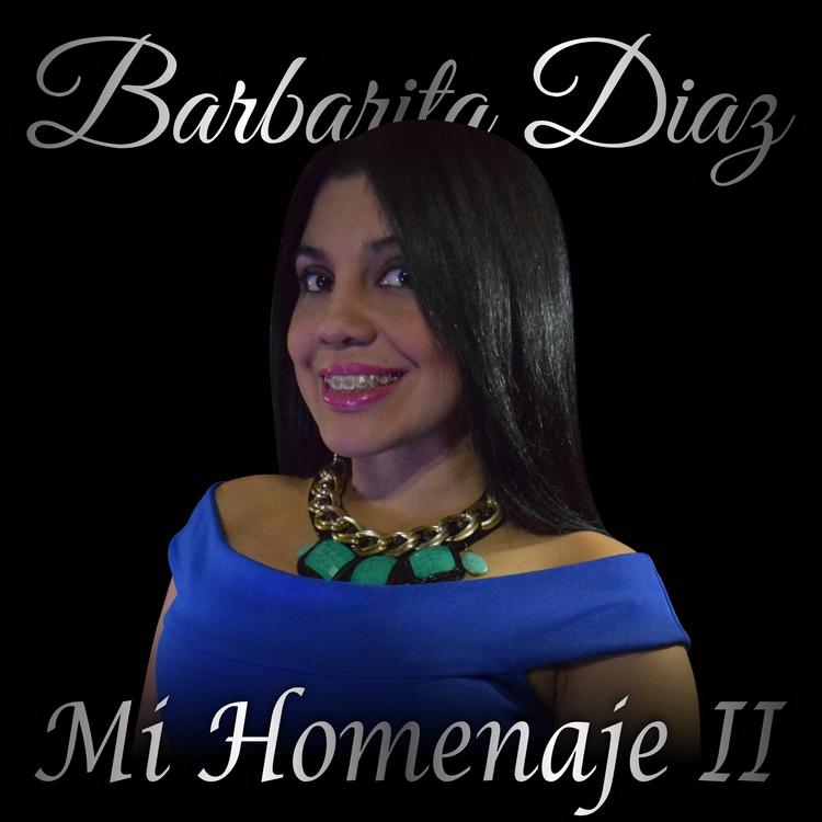 Barbarita Diaz's avatar image