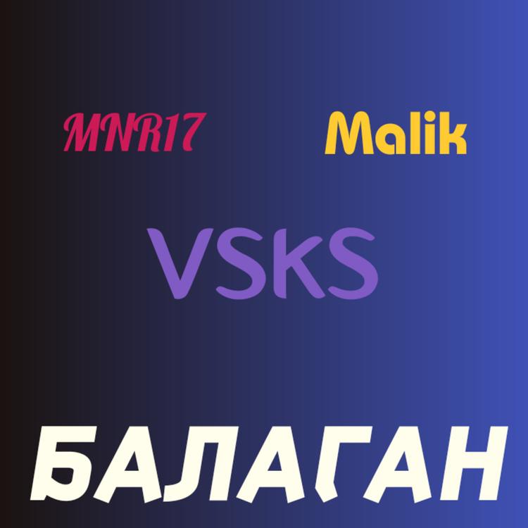 VSKS's avatar image