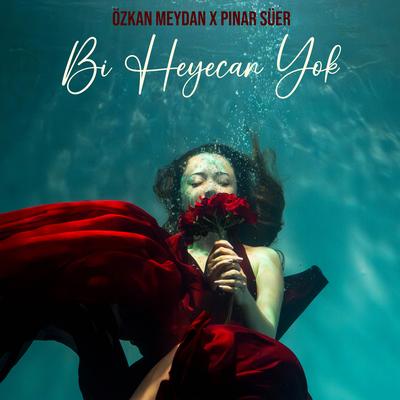 Bi Heyecan Yok's cover