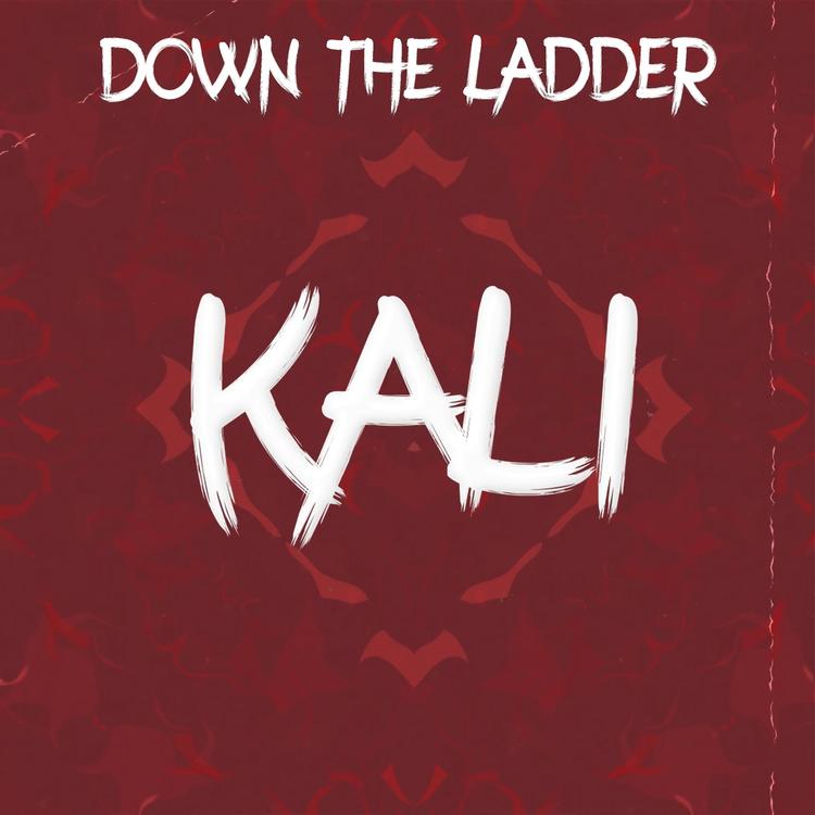 Down The Ladder's avatar image