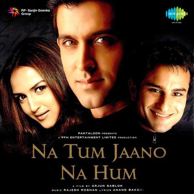 Na Tum Jaano Na Hum's cover