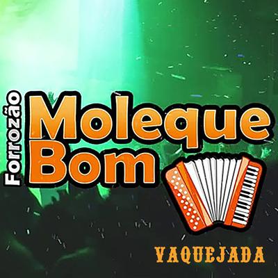 Não Sei o Que Eu Faço By Forrozão Moleque Bom's cover