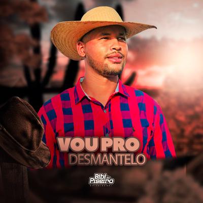 Vou pro Desmantelo By Bibi do Piseiro's cover