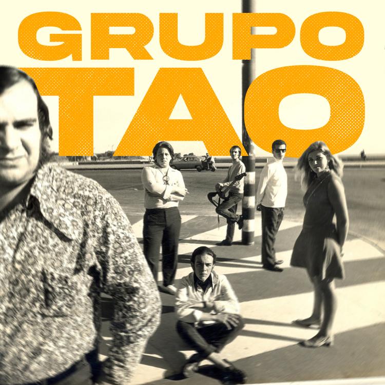 Grupo Tao's avatar image