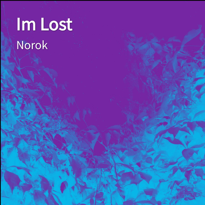 Im Lost's cover