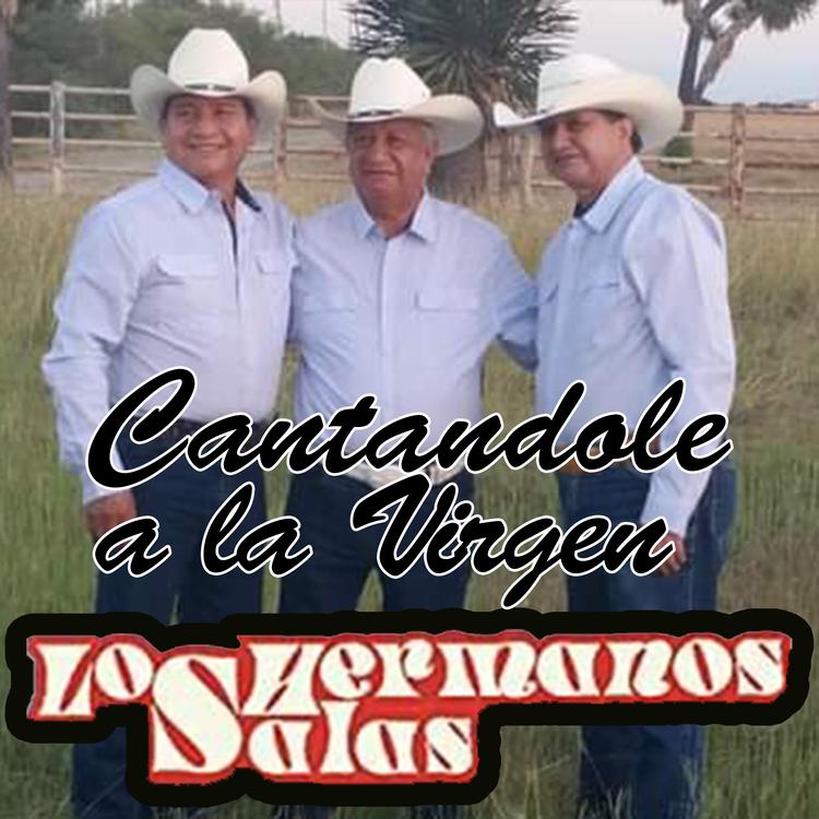 hermanos salas's avatar image