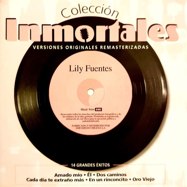 Lily Fuentes's avatar image