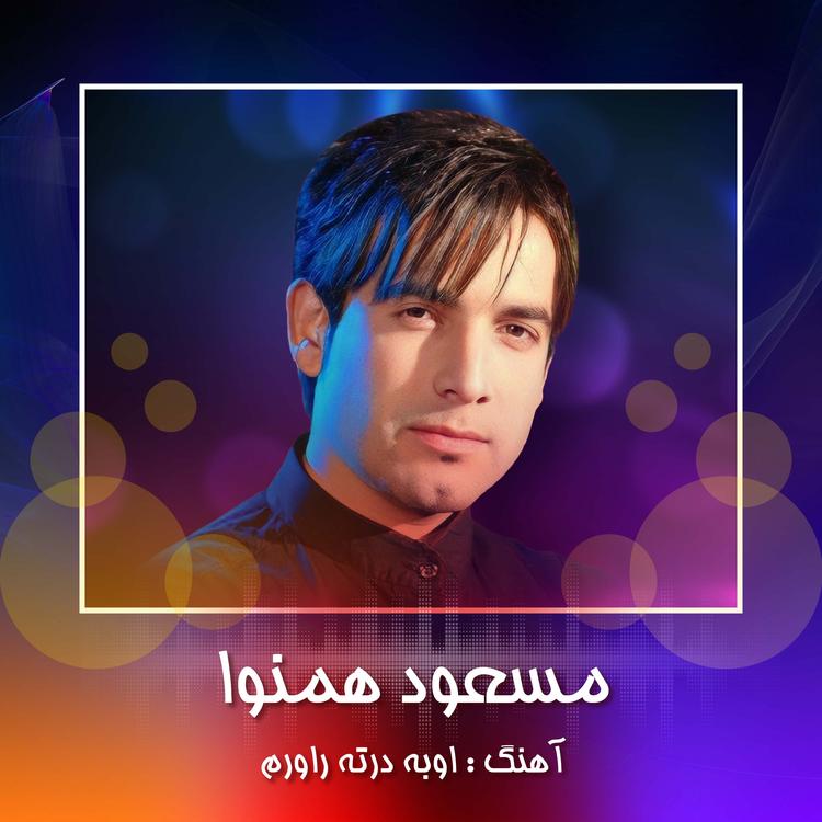 Masoud Hamnava's avatar image