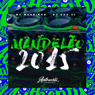 Mandelão 2015's cover