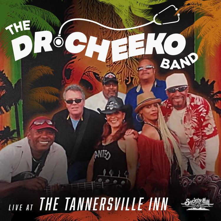 The Dr. Cheeko Band's avatar image