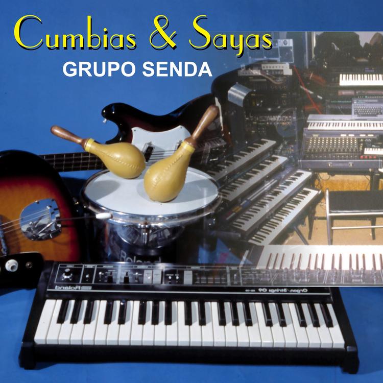 Grupo Senda's avatar image