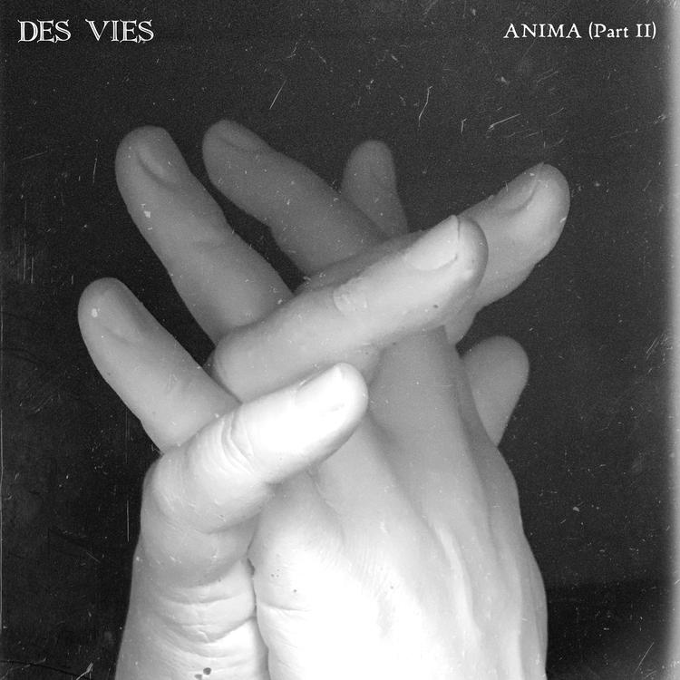 Des Vies's avatar image