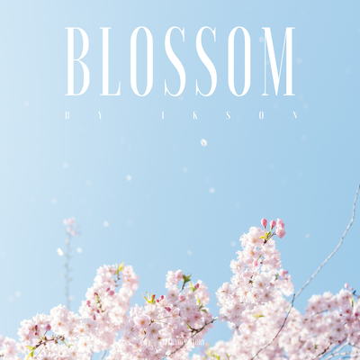 Blossom By TELL YOUR STORY music by's cover