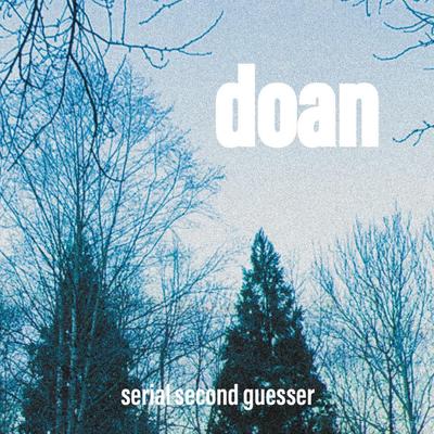 serial second guesser By doan's cover