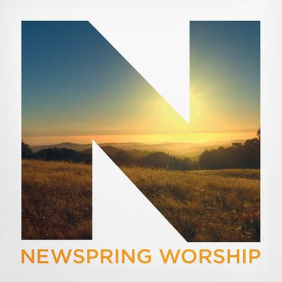 Agnus Dei By NewSpring Worship's cover