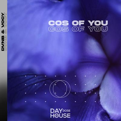 Cos Of You By Dvnb, Vocy's cover