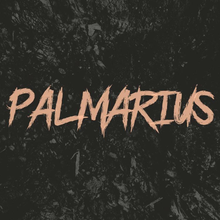 Palmarius's avatar image