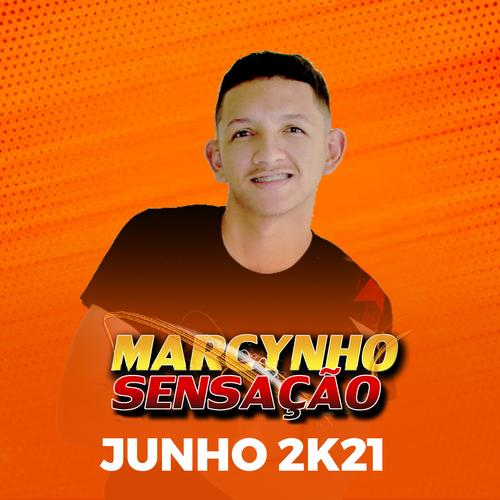 Não Vou Desistir's cover