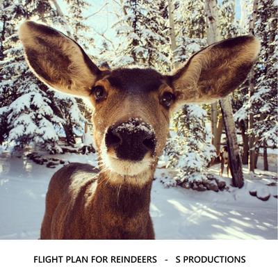 Flight Plan For Reindeers By S Productions's cover