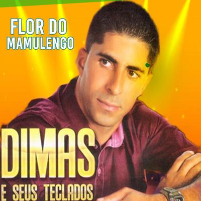 Flor do Mamulêngo (Cover) By Dimas e Seus Teclados's cover