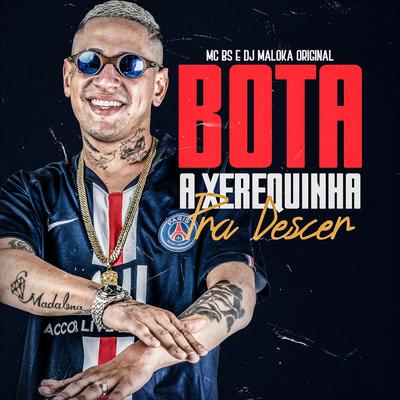 Bota a Xerequinha pra Descer By MC BS, DJ Maloka Original's cover