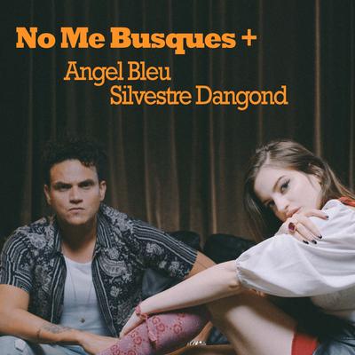 No Me Busques Más By Silvestre Dangond, Angel Bleu's cover