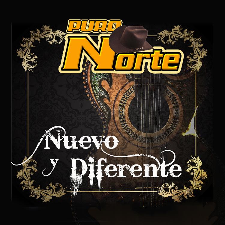 Puro Norte's avatar image