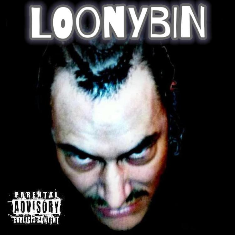 Loonybin's avatar image