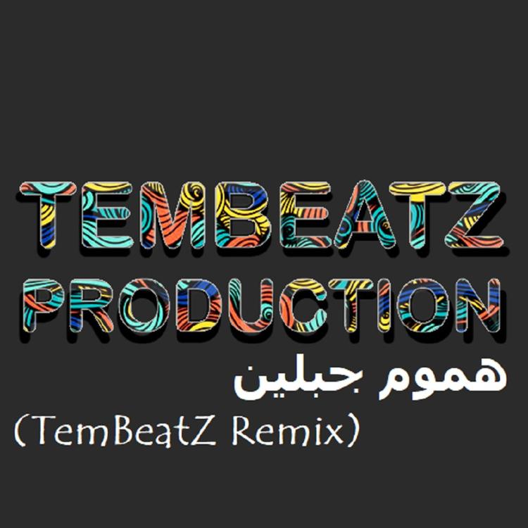 TemBeatZ Music Production's avatar image