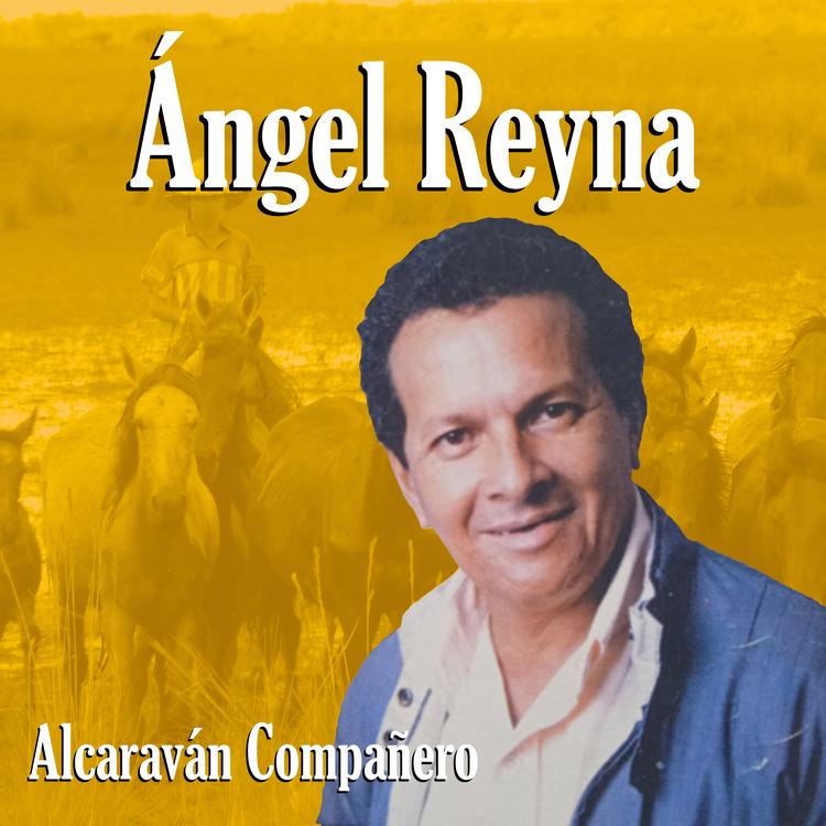 Ángel Reyna's avatar image