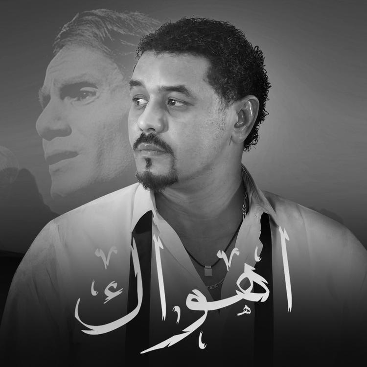 Ibrahim Alameer's avatar image