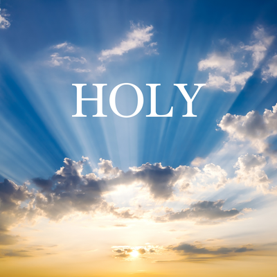 Holy's cover