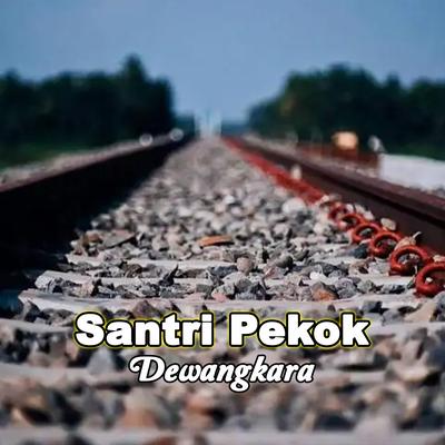 Santri Pekok's cover