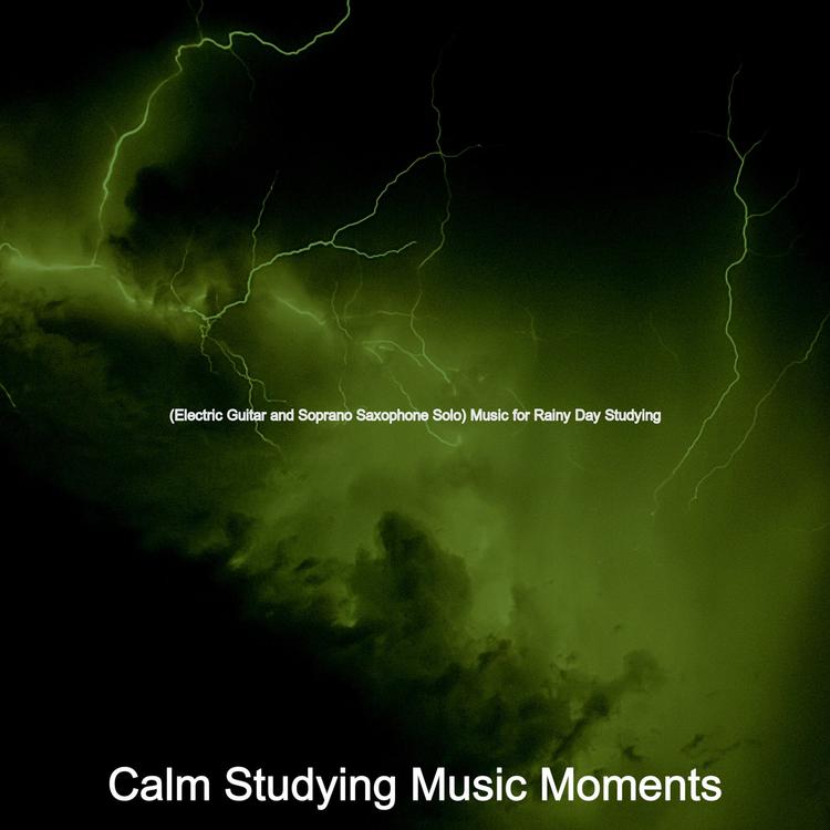 Calm Studying Music Moments's avatar image