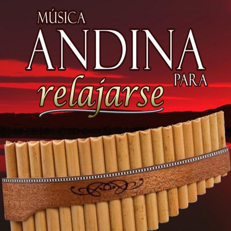 Relajacion Andina's avatar image