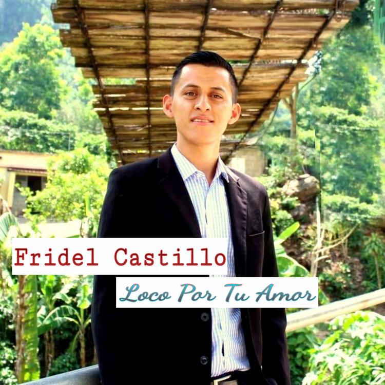 Fridel Castillo's avatar image