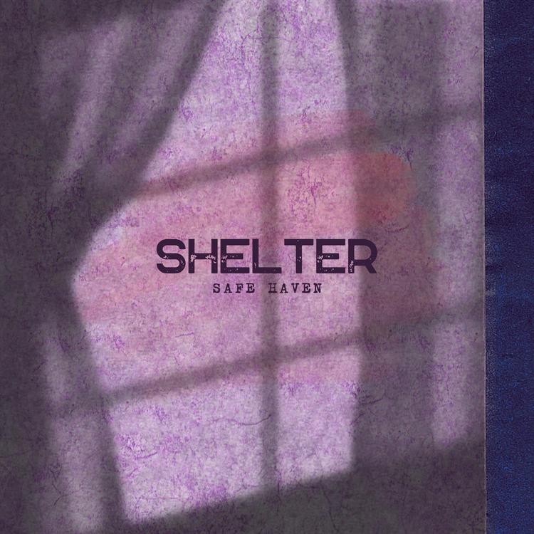 Shelter's avatar image