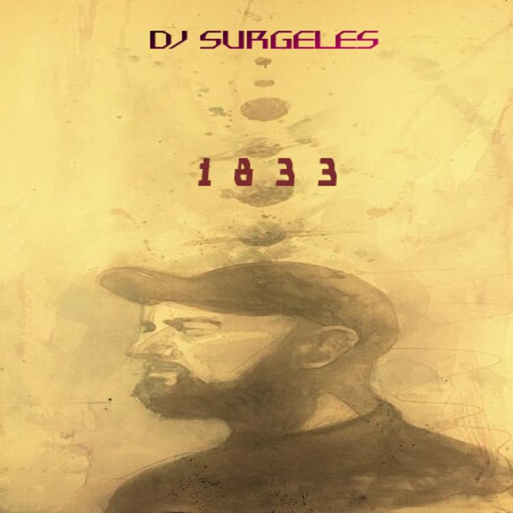 DJ Surgeles's avatar image