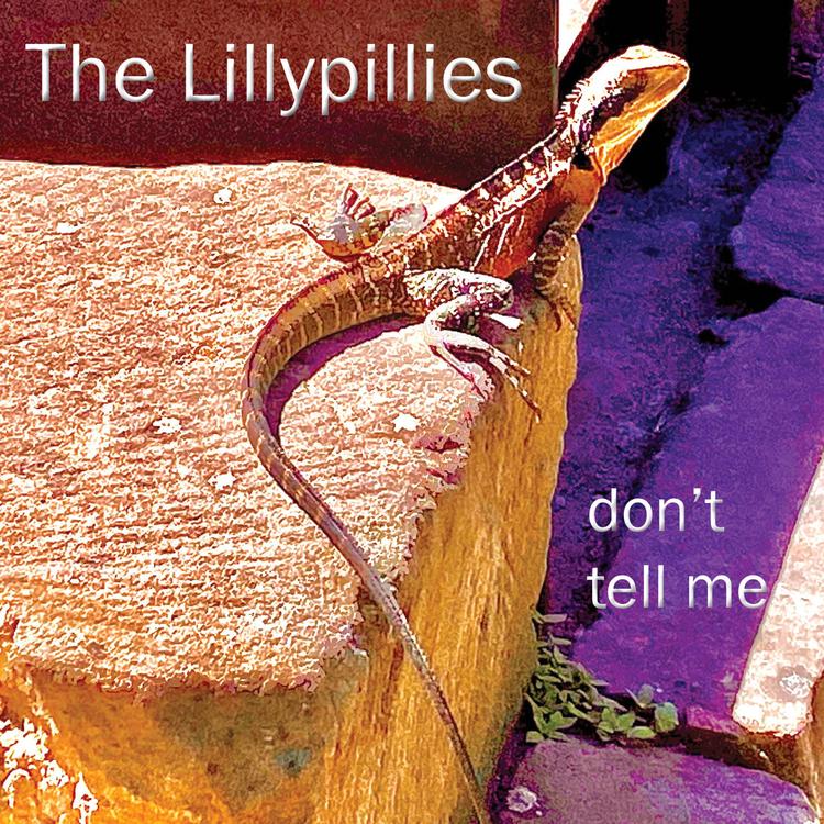 The Lillypillies's avatar image