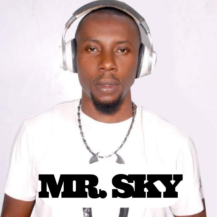 Mr. Sky's avatar image