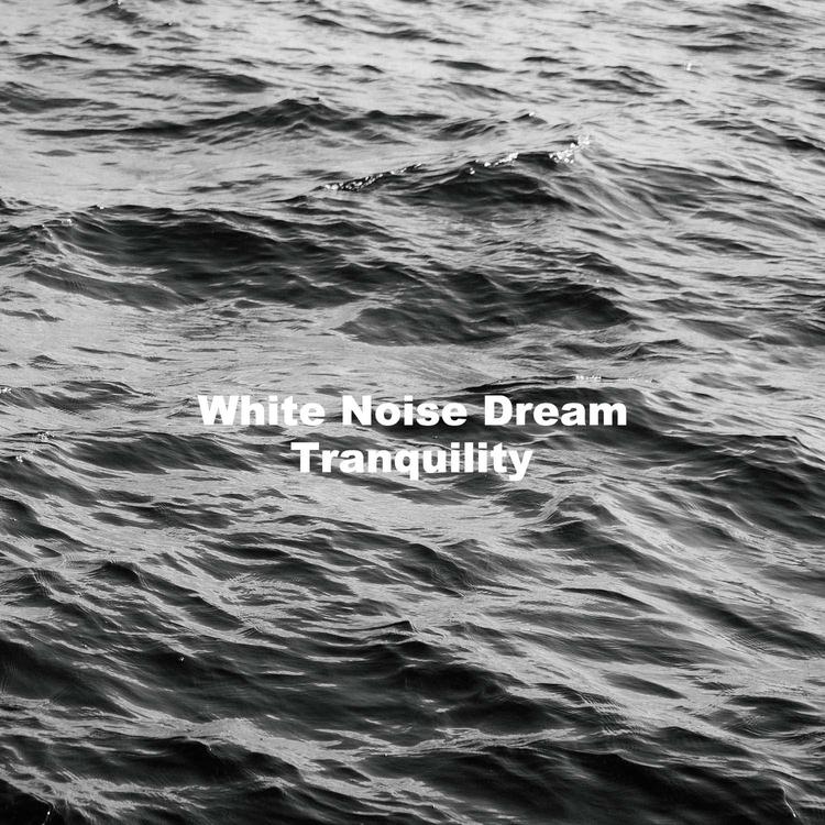 White Noise Dream's avatar image