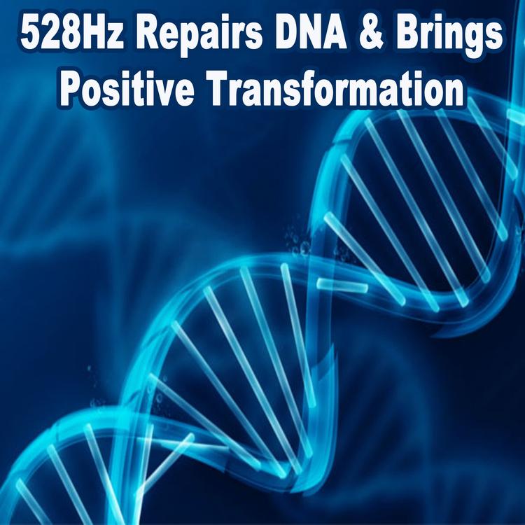 528Hz Repairs DNA's avatar image