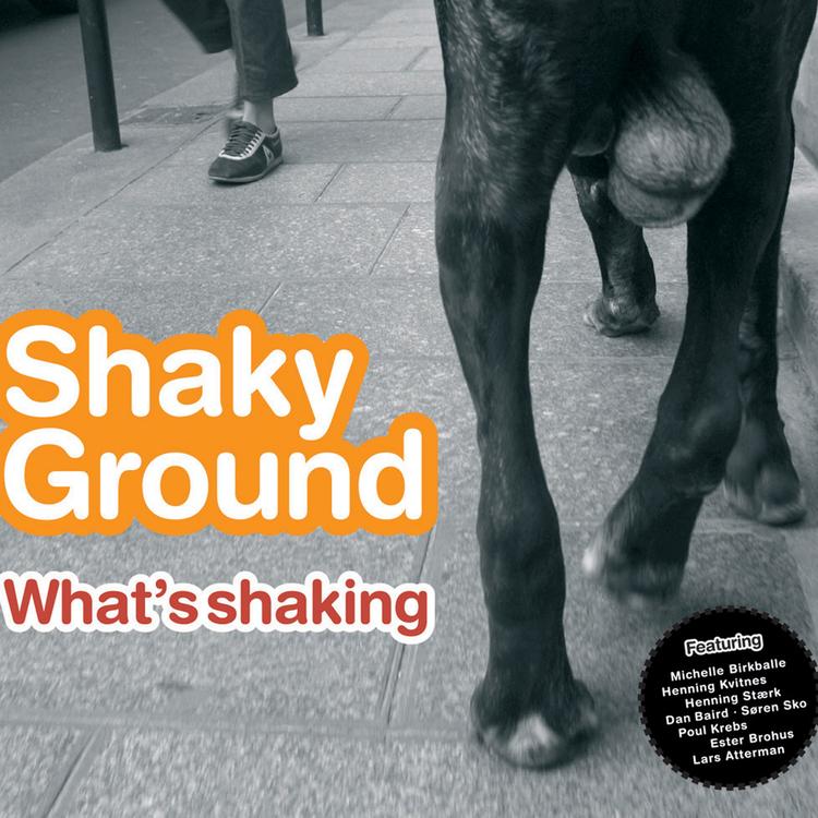 Shaky Ground's avatar image