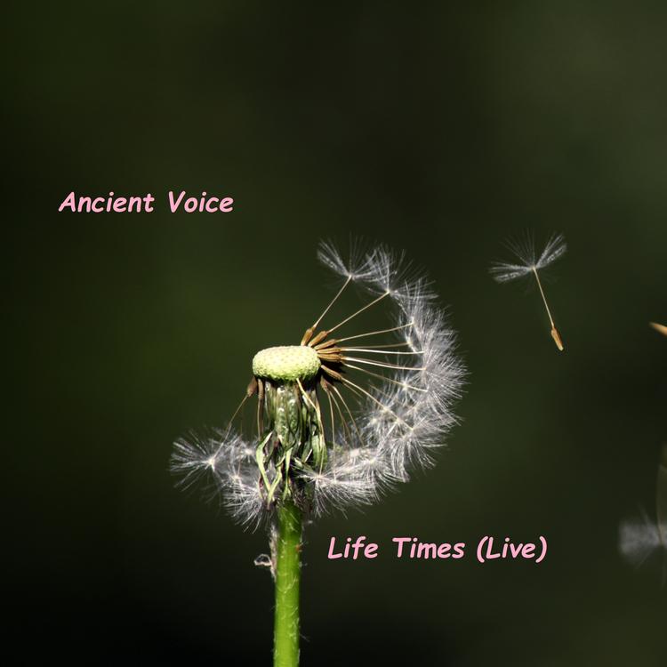 Life Times's avatar image
