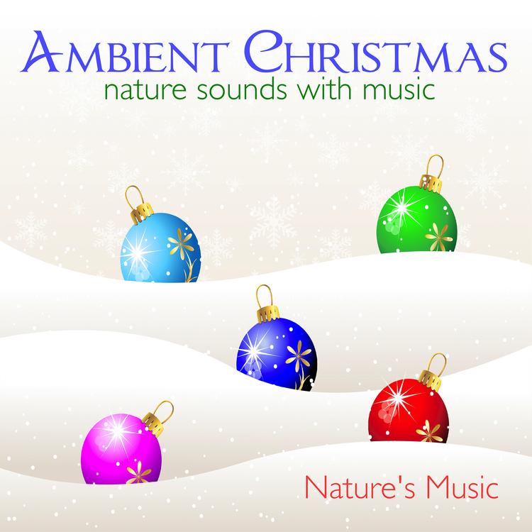 Nature's Music's avatar image