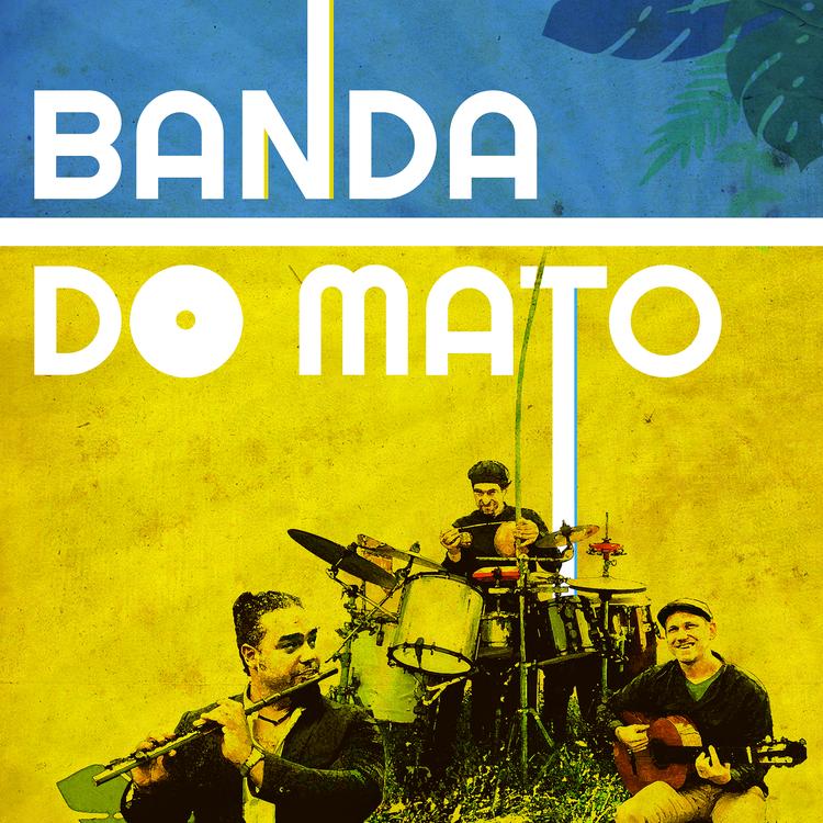 Banda Do Mato's avatar image