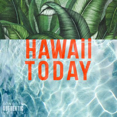 Hapa Haole Swing By The Puahia Street Players, Charles Michael Brotman, Sonny Lim's cover