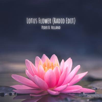 Lotus Flower (Radio Edit)'s cover